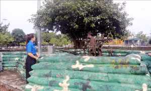 Lớp học lịch sử đặc biệt cho thế hệ trẻ