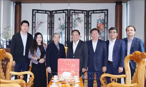 Trưởng Ban Tuyên giáo và Dân vận Trung ương thăm, chúc Tết gia đình các nhân sĩ tiêu biểu