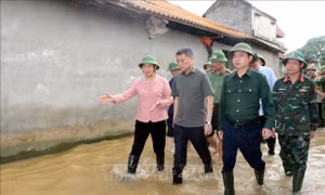 Trưởng ban Tổ chức Trung ương kiểm tra công tác phòng, chống lụt bão tại Hà Nam