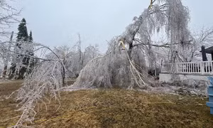 Canada: Bão lớn gây mất điện diện rộng, cảnh báo nhiệt độ xuống -45 độ C