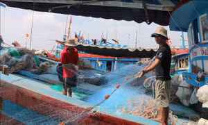 Nhiều tàu cá tại Trà Vinh nằm bờ vì giá nhiên liệu tăng cao