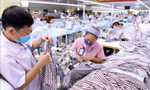 Đề nghị sử dụng kinh phí từ gói 62.000 tỷ đồng để hỗ trợ lao động bị ảnh hưởng dịch COVID-19