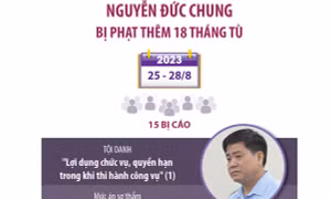 Vụ nâng khống giá cây xanh: Bị cáo Nguyễn Đức Chung bị phạt thêm 18 tháng tù