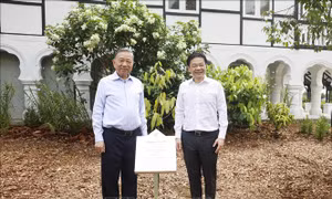 Tổng Bí thư, Chủ tịch nước Tô Lâm và Thủ tướng Lawrence Wong trồng cây tại Vườn Bách thảo Singapore