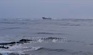 Ứng cứu an toàn 5 thuyền viên trên tàu bị sự cố phá nước, chìm trên biển 