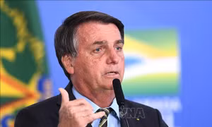 Tổ chức bảo vệ môi trường khởi kiện Tổng thống Brazil hủy hoại rừng Amazon