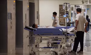 Hàn Quốc: Các giáo sư y khoa tiếp tục đình công