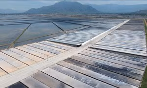 Các doanh nghiệp ứng dụng công nghệ cao sẽ được hưởng Quỹ Hỗ trợ đầu tư