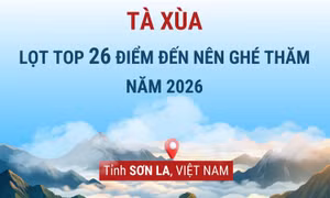 Thiên đường mây Tà Xùa lọt top 26 điểm đến nên ghé thăm vào năm 2026