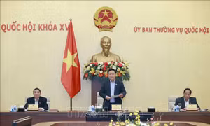 Các chính sách khuyến khích phát triển hợp tác xã phải khả thi, dễ tiếp cận