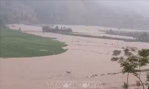 Sơn La: Mưa lũ gây thiệt hại nặng ở nhiều địa phương  