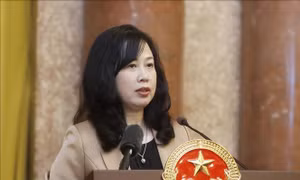 Ngày càng nhiều việt kiều về Việt Nam khám chữa bệnh Răng Hàm Mặt 