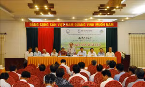 Tìm nguyên nhân khó mở rộng cánh đồng lớn