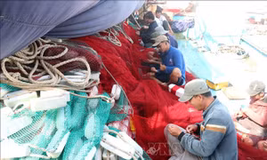Đề án chuyển đổi một số nghề khai thác hải sản ảnh hưởng đến môi trường sinh thái