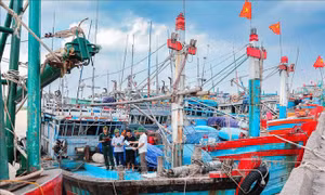 Tuyên chiến với IUU - Bài 1