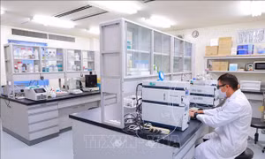 Nhà khoa học Việt Nam tại Nhật Bản có tên trong bảng xếp hạng của Research.com