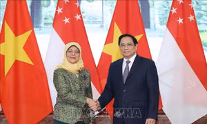 Thủ tướng Phạm Minh Chính hội kiến Tổng thống Singapore 
