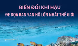 Biến đổi khí hậu đe dọa rạn san hô lớn nhất thế giới