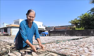 Làng nghề cá khô ven biển tăng công suất gấp 3 lần phục vụ Tết