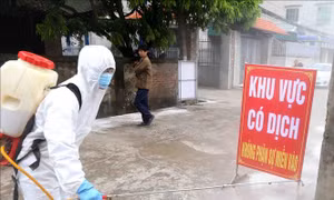 Hà Nội kiểm soát chặt không để lây lan dịch tả lợn châu Phi