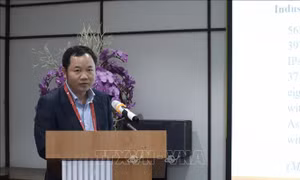 Hướng đi cho doanh nghiệp xuất khẩu lương thực của Việt Nam tại thị trường Singapore