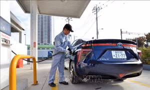 Gần 70% công ty của Nhật Bản bị ảnh hưởng thu nhập do khủng hoảng Ukraine
