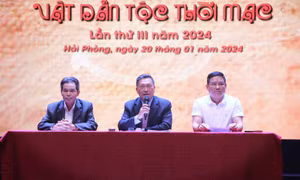 Hội thi truyền thống Vật dân tộc thời Mạc sẽ thu hút nhiều tay vật chuyên nghiệp