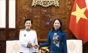 Quyền Chủ tịch nước Võ Thị Ánh Xuân tiếp các Đại sứ đến trình Quốc thư