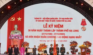 Xây dựng, phát triển thành phố Hạ Long lên tầm cao mới