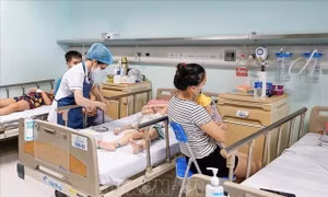 Hà Nội tăng cường giám sát, phòng, chống bệnh do virus Adeno