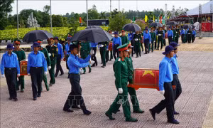 Đội K91 tìm thấy 5 bộ hài cốt liệt sĩ trong đợt tìm kiếm tại Campuchia