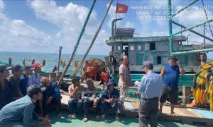 Quyết liệt xử lý các vụ vi phạm IUU
