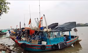 Quảng Ninh: Kêu gọi tàu thuyền vào nơi tránh trú trước bão số 3