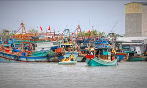 Khắc phục 'thẻ vàng' IUU: Ngư dân chuyển biến mạnh về nhận thức và hành động