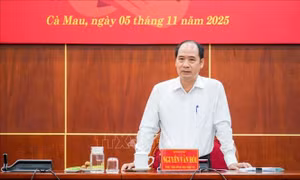 Điểm sáng trong thực hiện cải cách hành chính gắn với chuyển đổi số