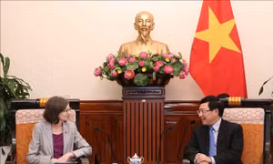 Phó Thủ tướng, Bộ trưởng Ngoại giao Phạm Bình Minh tiếp Đại sứ Canada tại Việt Nam