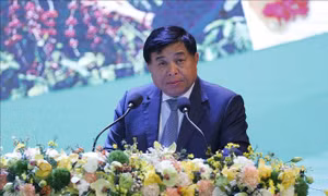 7 nhóm nhiệm vụ, giải pháp trọng tâm phát triển vùng Tây Nguyên