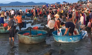 Chợ cá Gò Cẩm Nhượng