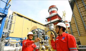 Thúc tiến độ các dự án lưới điện giải tỏa công suất Nhà máy điện Nhơn Trạch 3 và 4