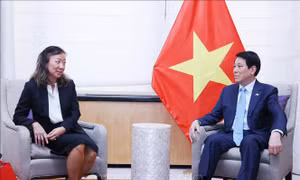 Chương trình Việt Nam học: Lan tỏa văn hóa ra thế giới