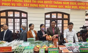 Hà Nội sắp mở thêm 40 điểm giới thiệu sản phẩm OCOP