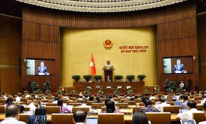 Kỳ họp thứ 9, Quốc hội khóa XV: Những điểm nhấn nổi bật trong Tuần làm việc thứ sáu