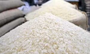 Nga tiến tới khôi phục xuất khẩu gạo