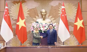 Chủ tịch Quốc hội Vương Đình Huệ hội kiến Tổng thống Singapore 