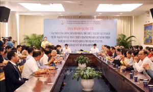 Nâng cao hiệu quả huy động doanh nhân, trí thức kiều bào