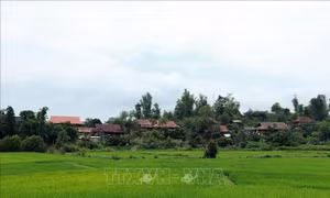 Đổi thay trên vùng căn cứ địa cách mạng Mường Phăng