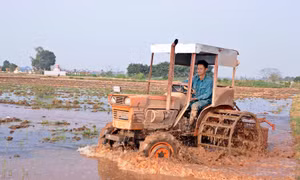 Nông dân đồng loạt xuống đồng sản xuất vụ Đông