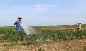 Sắc Xuân trên xã nông thôn mới vùng dân tộc thiểu số