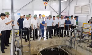 Bộ trưởng Đặng Quốc Khánh: Ninh Bình cần phát triển đi đôi với bảo vệ môi trường