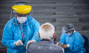 Peru triển khai tiêm mũi vaccine ngừa COVID-19 thứ tư cho người trên 50 tuổi